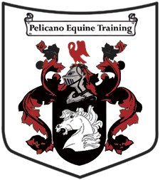 Pelicano Equine Training